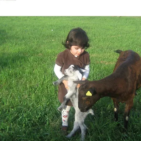 La Casa De Pollos Дом отдыха *